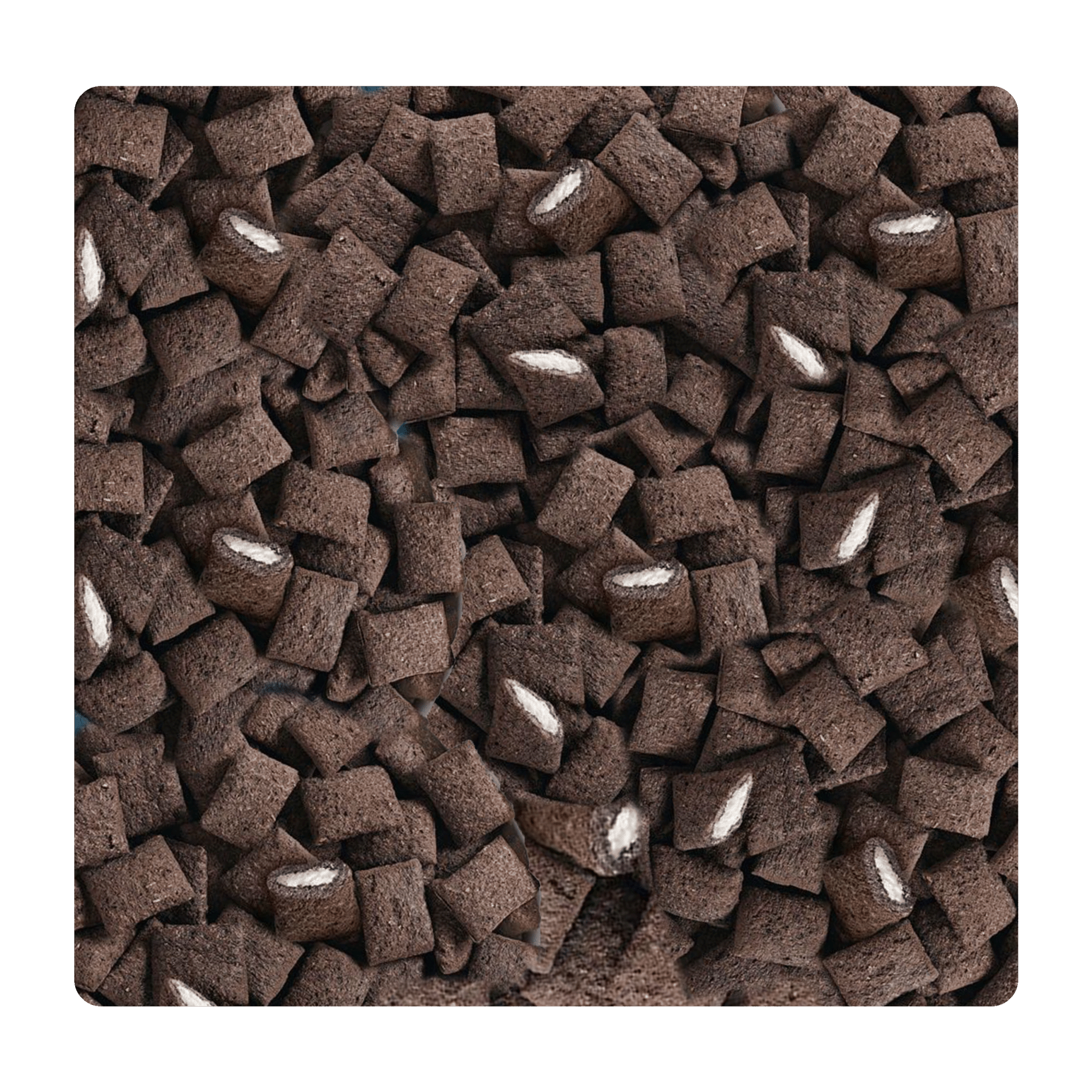 Black and White Bites - Snack Shark