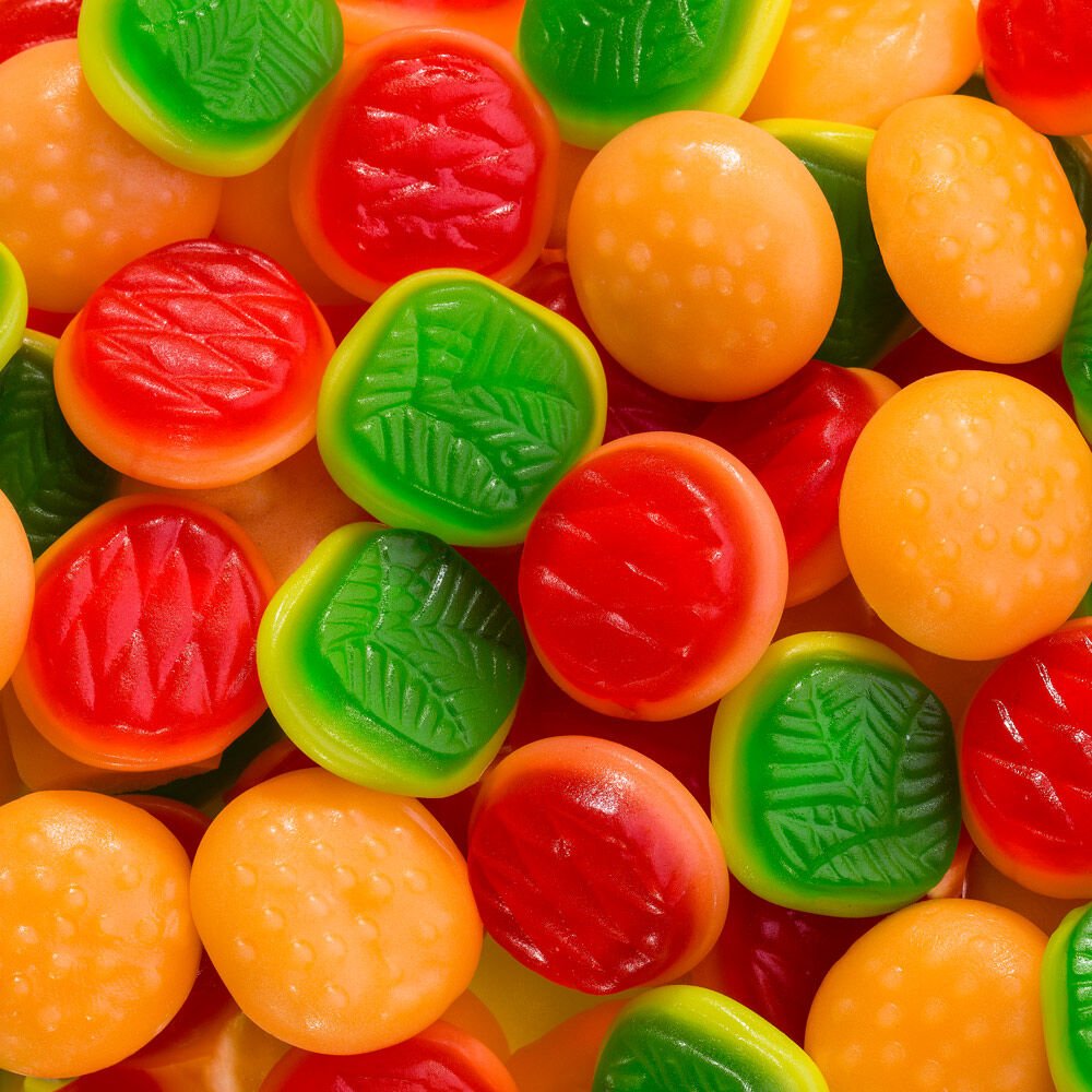 Burger - Snack Shark