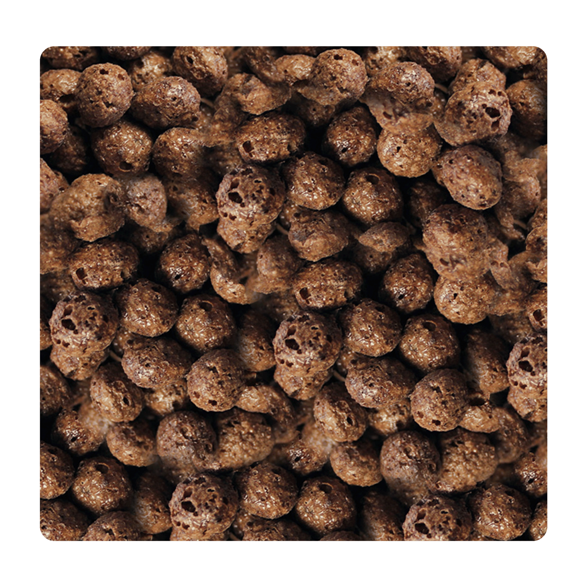 Choko Balls - Snack Shark