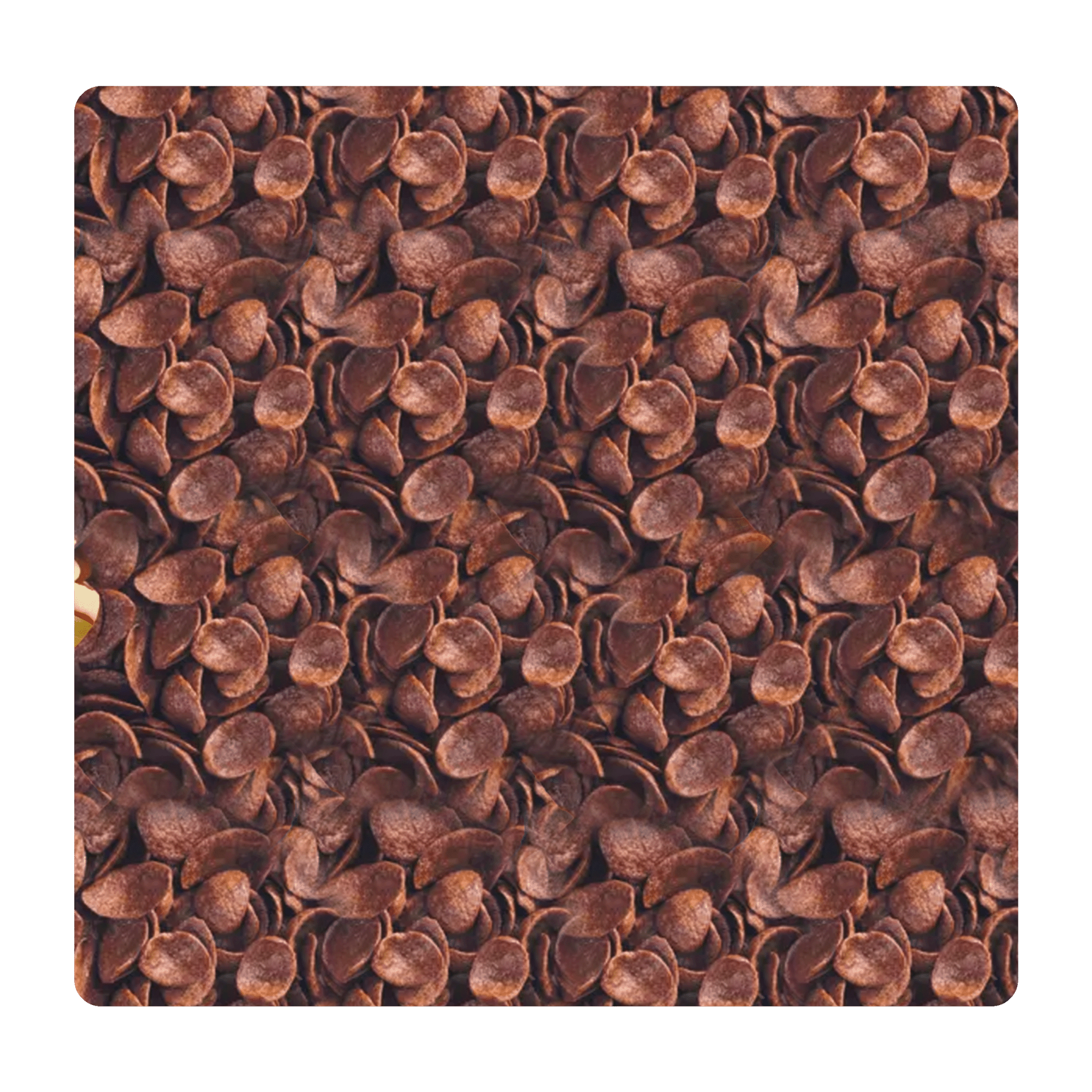 Choko Crispies - Snack Shark