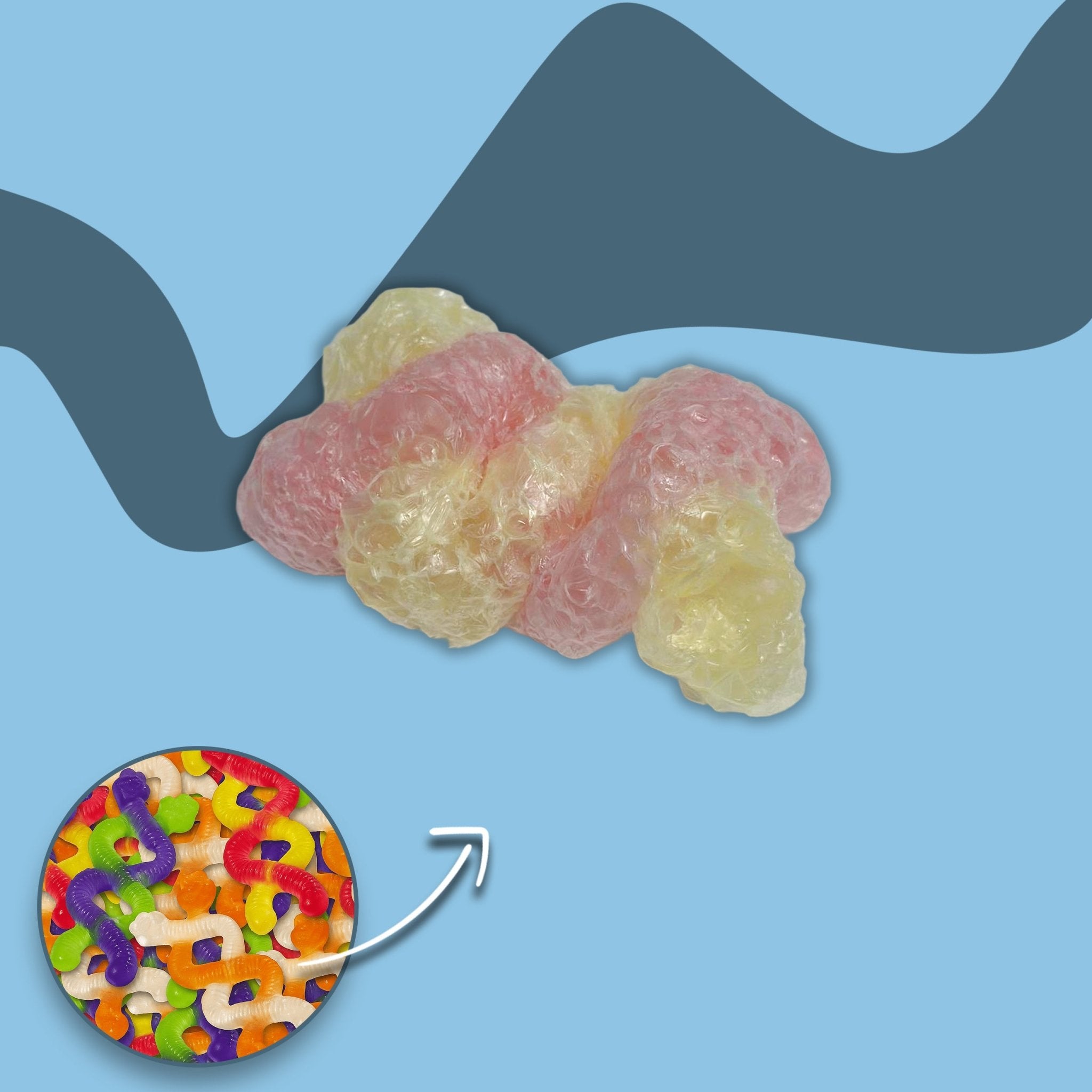 Gefriergetrocknete DNA Twist - Snack Shark