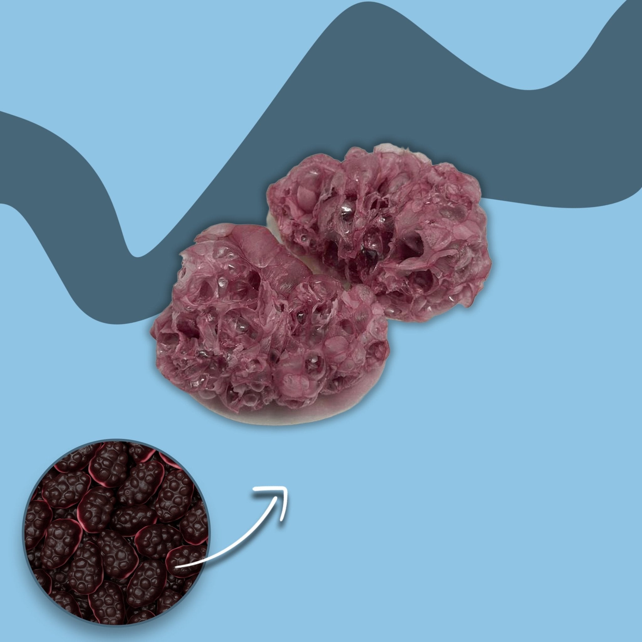 Gefriergetrocknete Frucht - Trauben - Snack Shark