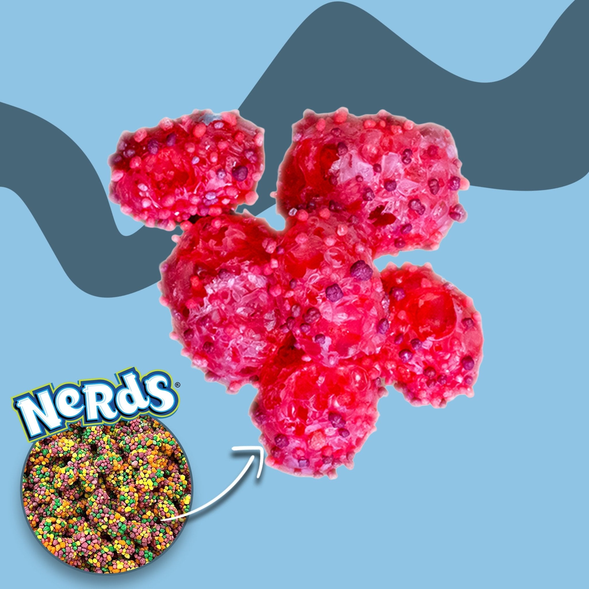 Gefriergetrocknete Gummy Clusters - Snack Shark