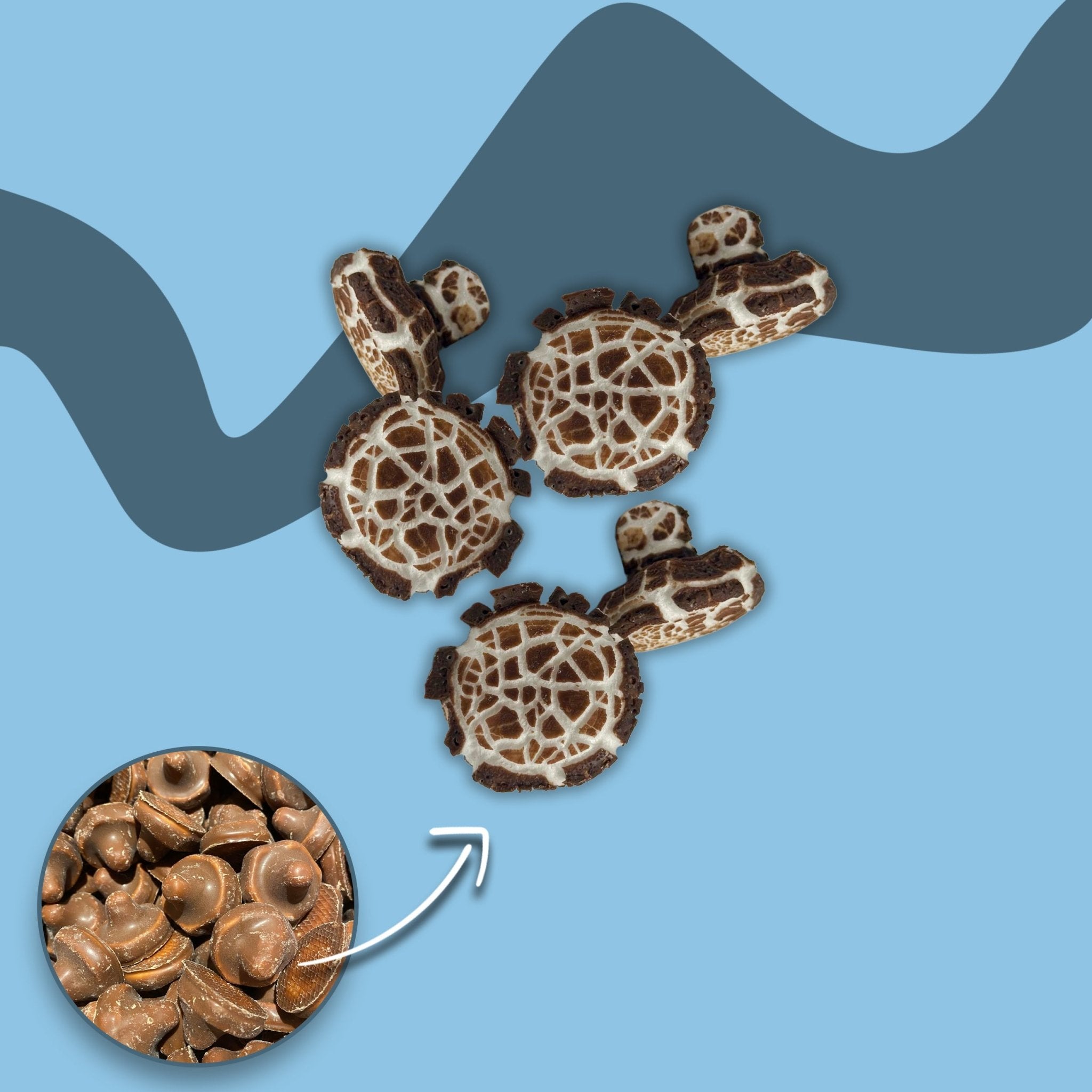 Gefriergetrocknete Schoko - Pilze 🍄❄️ - Snack Shark