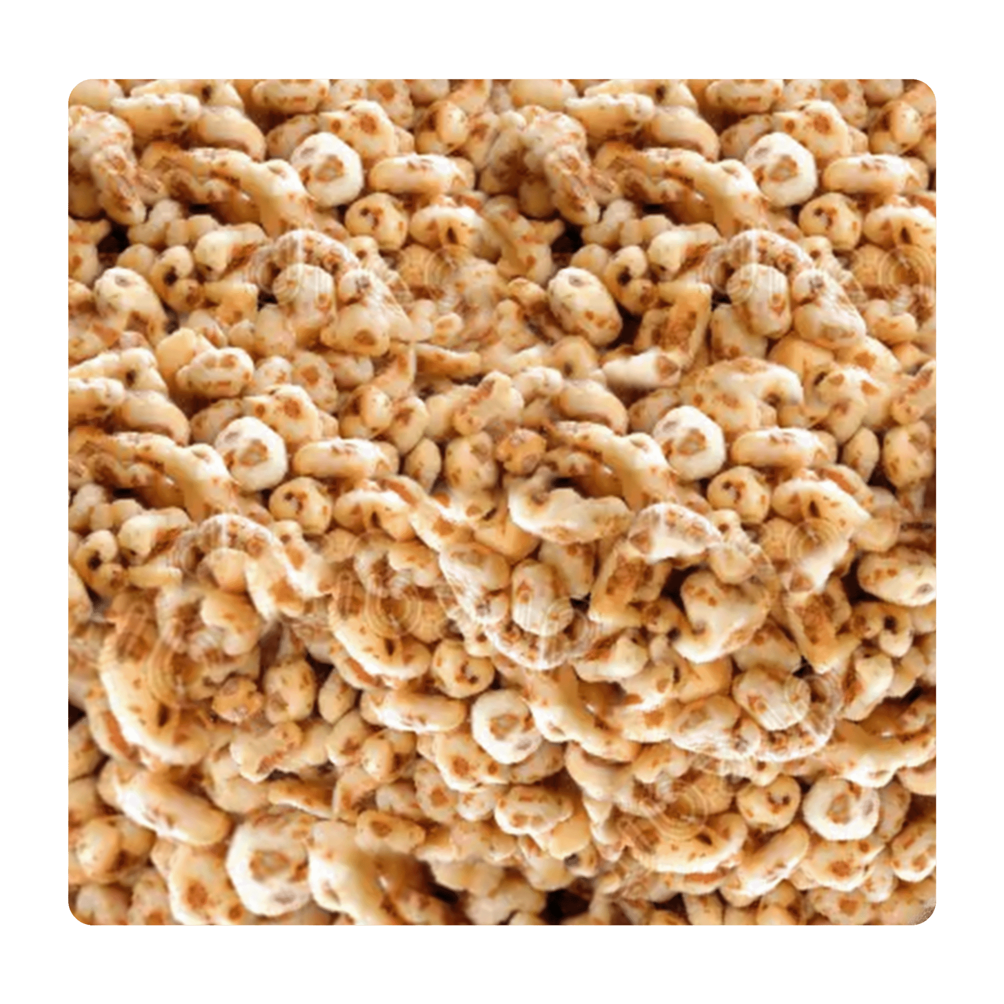 Honey Bites - Snack Shark