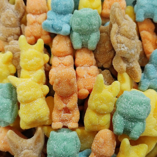 Pokemon Sauer - Snack Shark