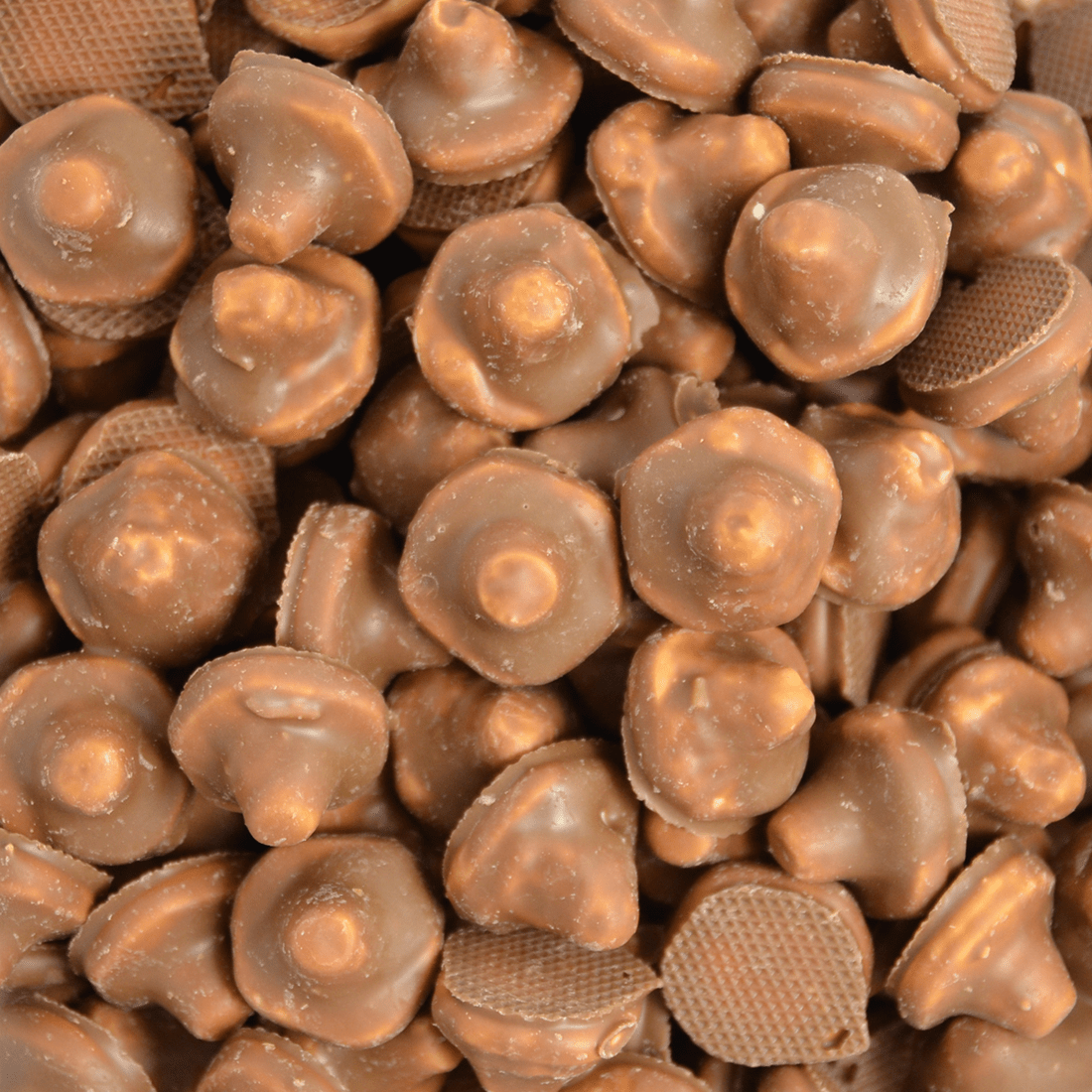 Schokopilze - Snack Shark