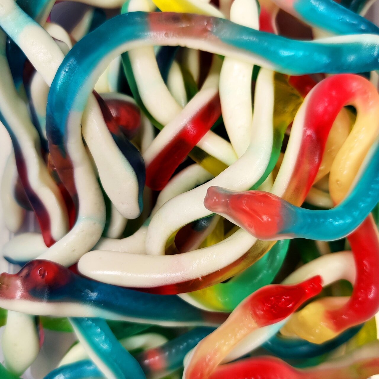 Serpentine Trolli - Snack Shark