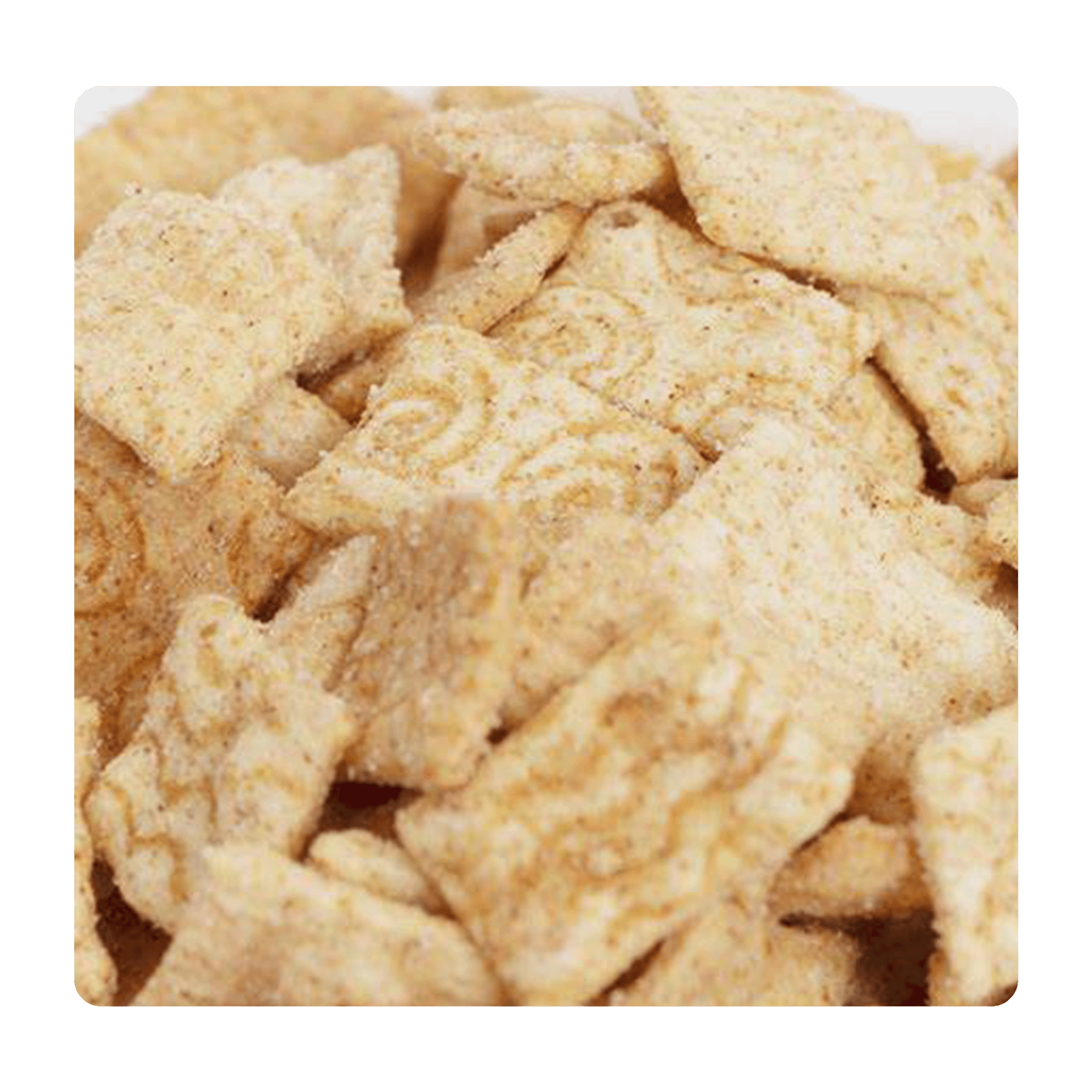 Zimties - Snack Shark