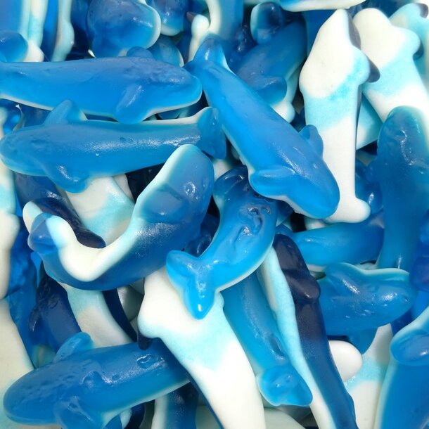 Blaue Mini Orcas