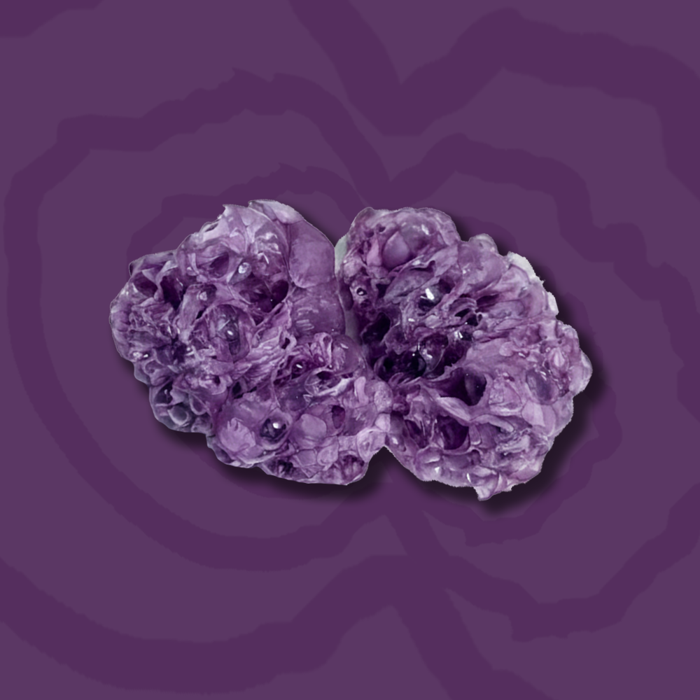 Gefriergetrocknete Frucht-Trauben