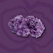 Gefriergetrocknete Frucht-Trauben