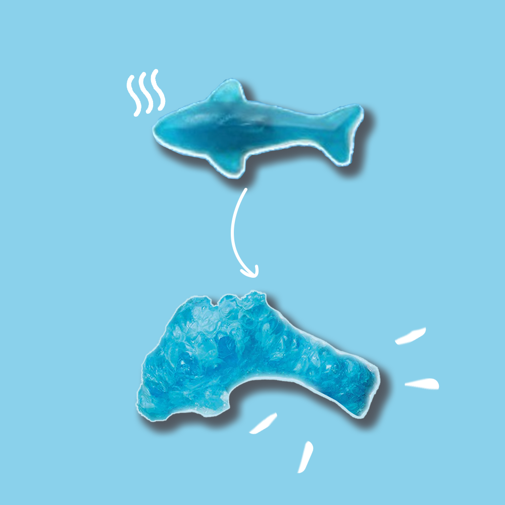 Gefriergetrocknete Haie