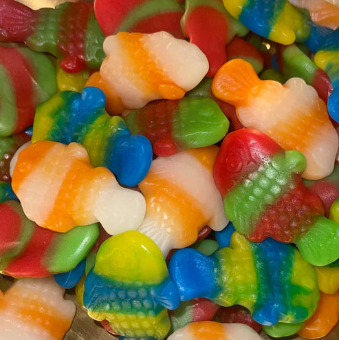Clownfisch