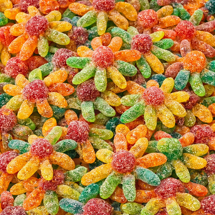 Mini Oktupus
