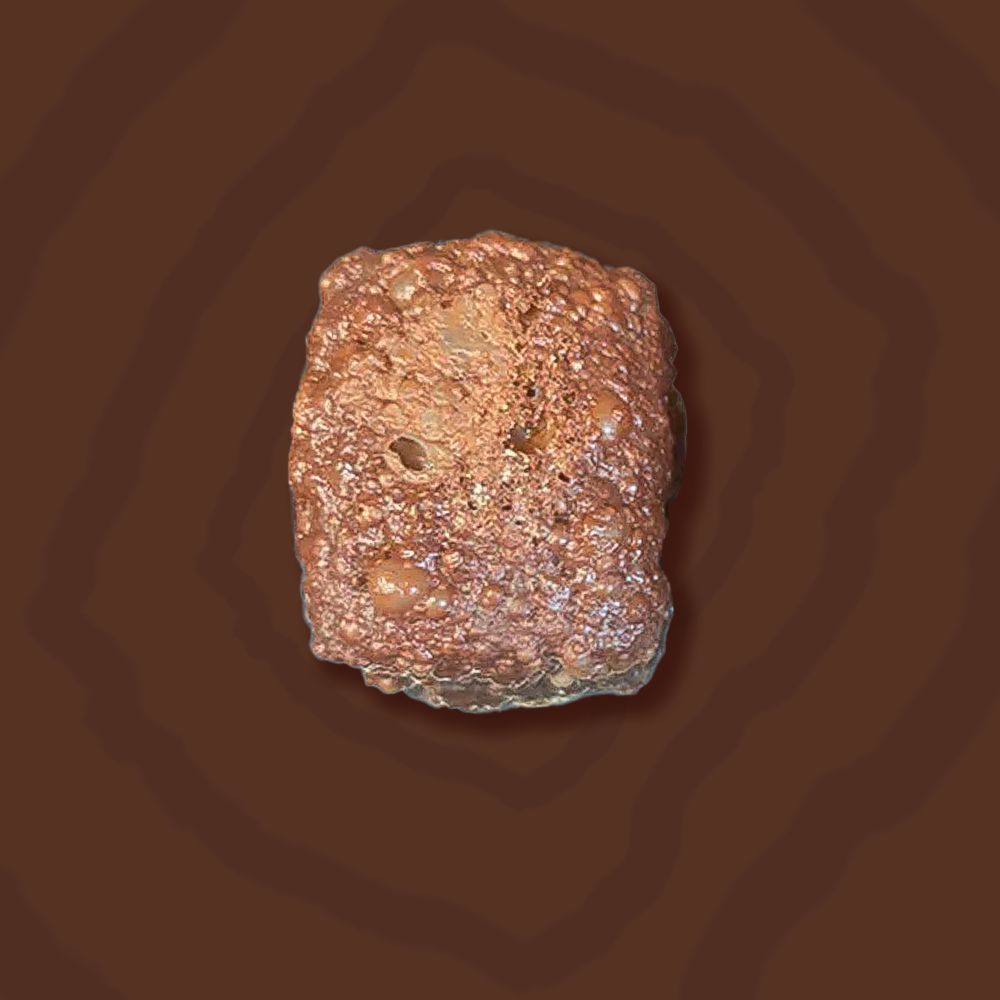 Gefriergetrocknete Karamell-Schoko Crunch Bites