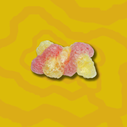 Gefriergetrocknete DNA Twist