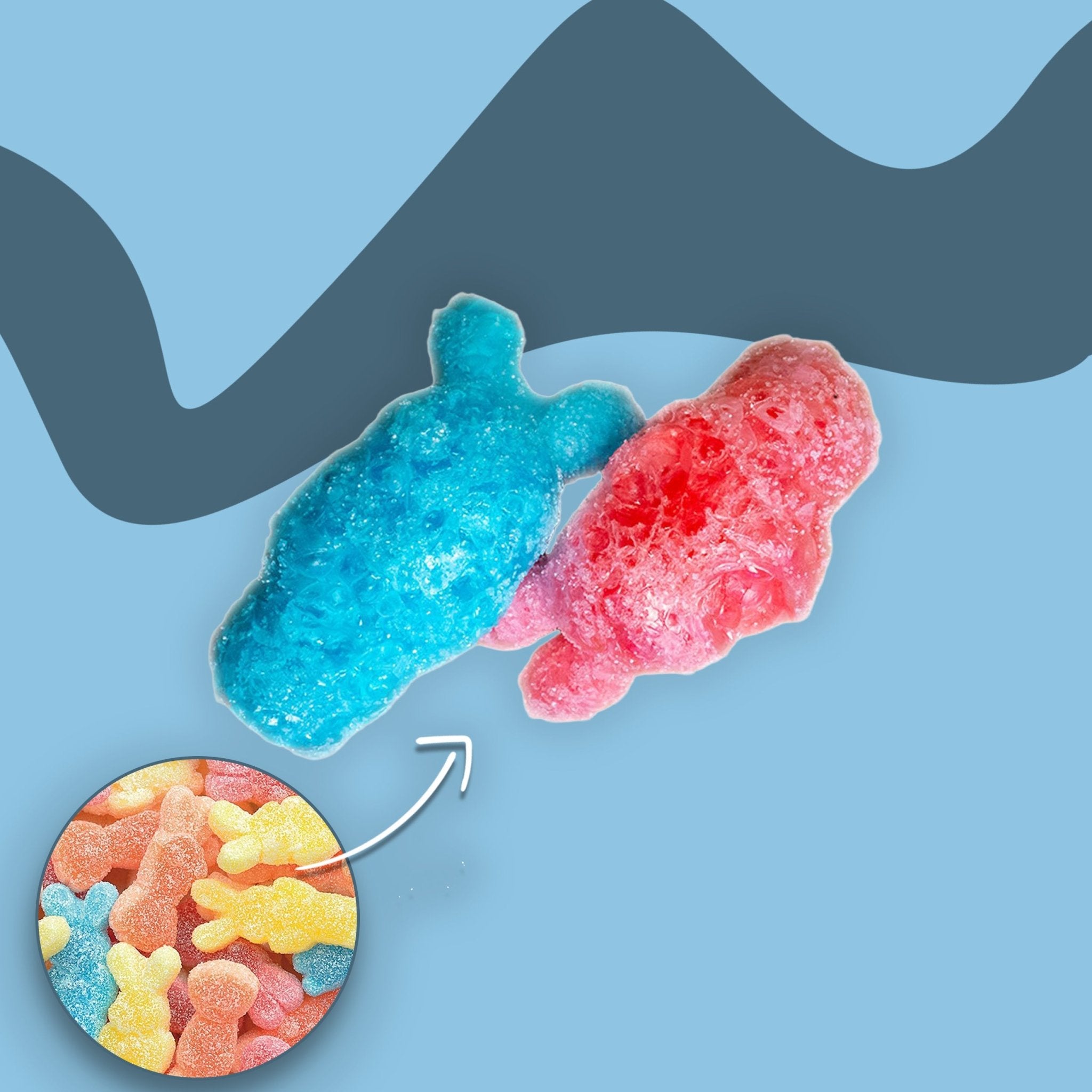 Gefriergetrocknete Rabbits - 2 Stück - Snack Shark