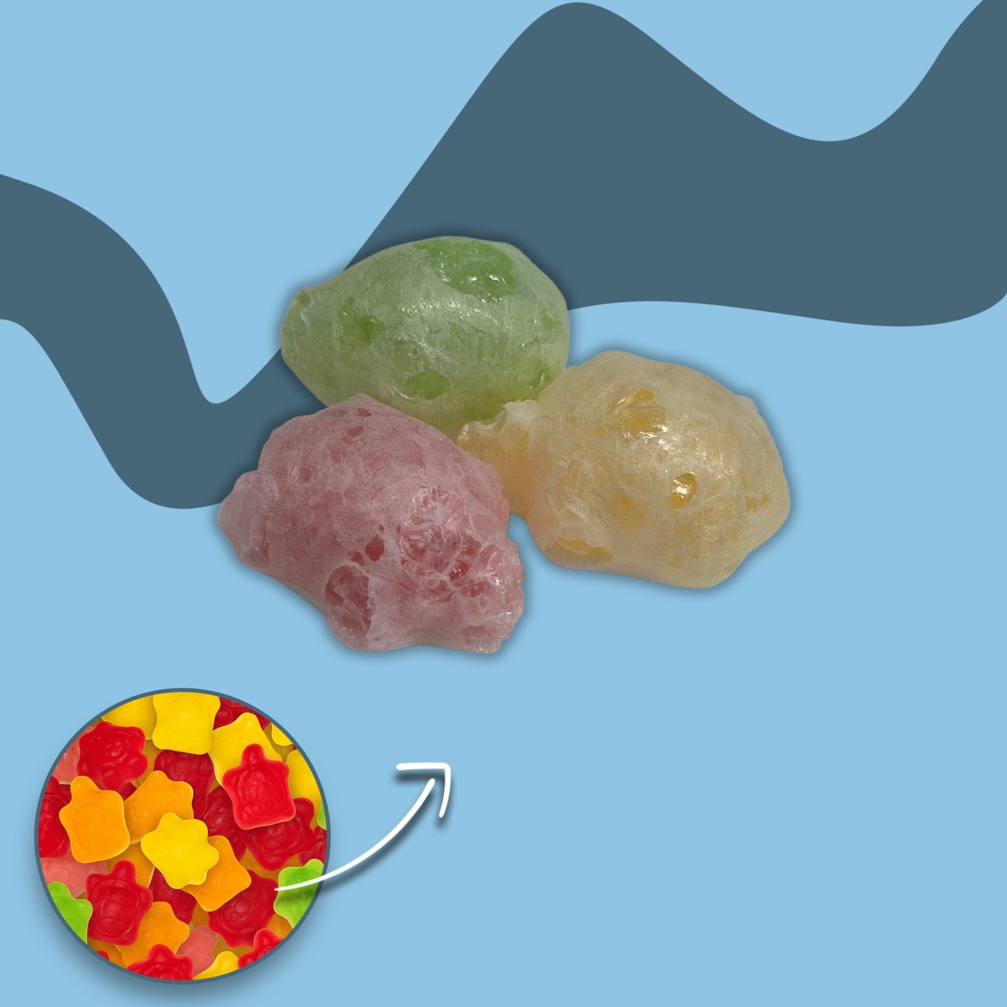 Gefriergetrocknete Schildkröten - Snack Shark