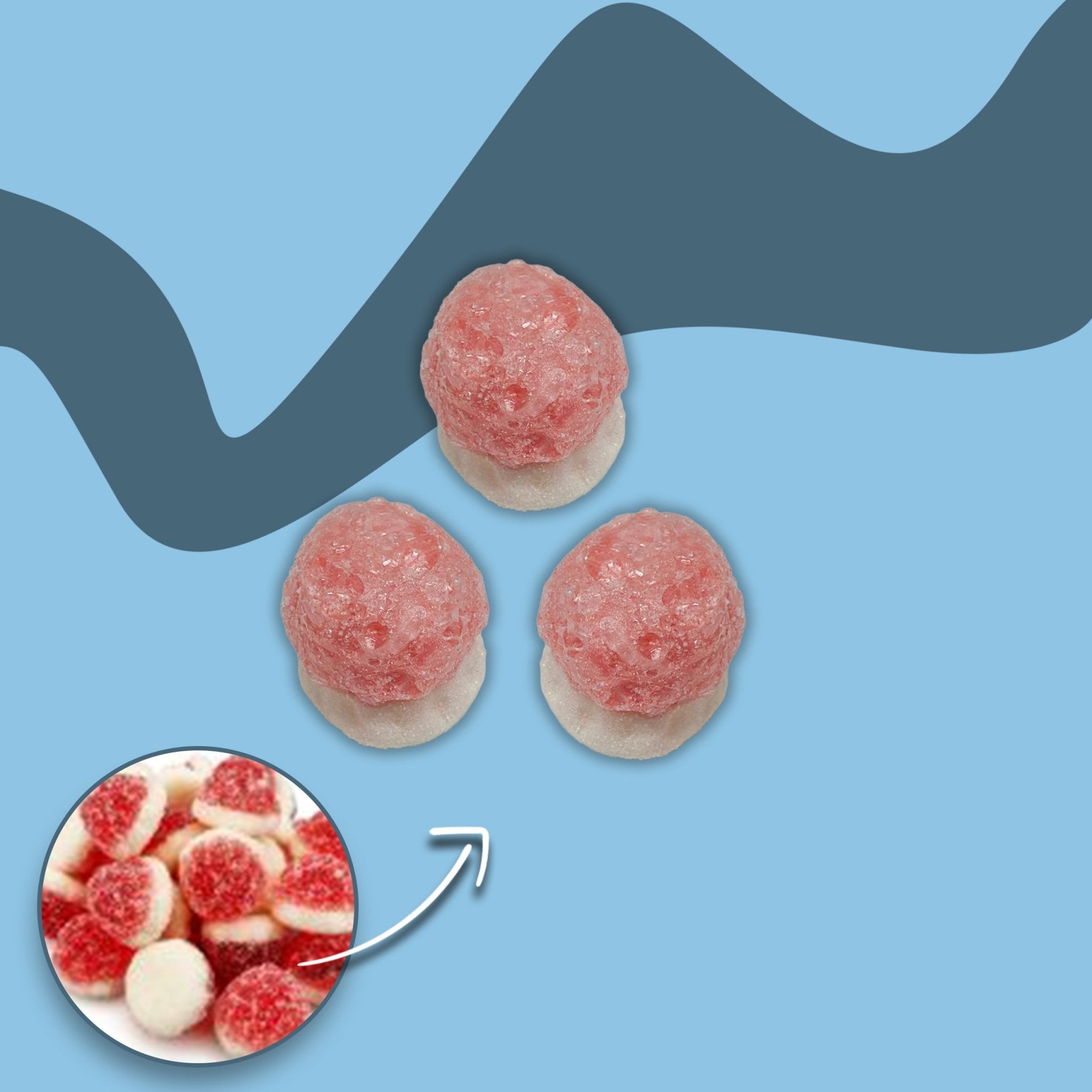 Gefriergetrocknete Vanille Himbeeren - Snack Shark