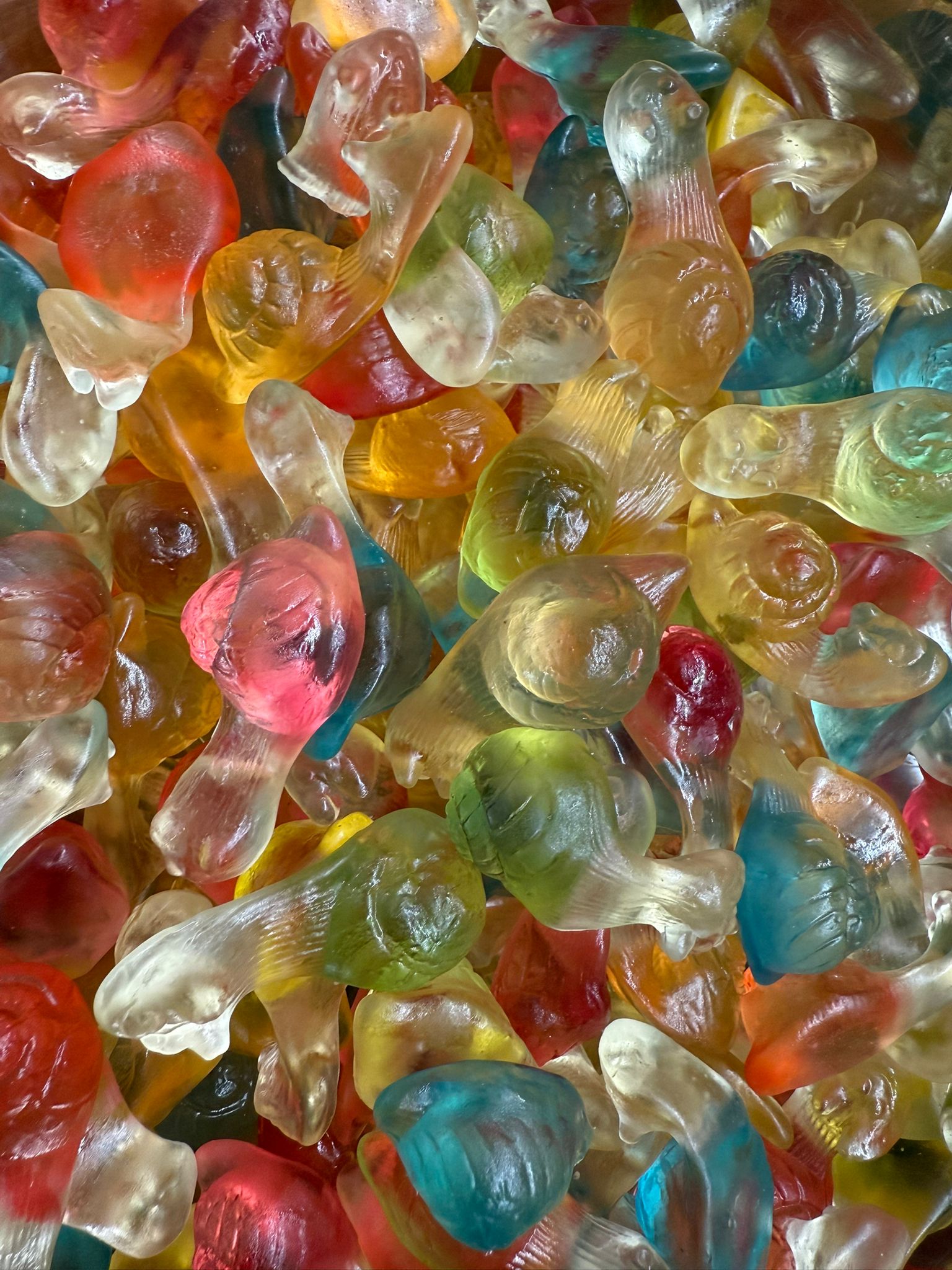 Haribo Schneckchen - Snack Shark