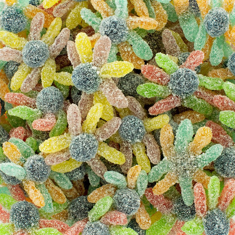 Mini Sour Octopus - Snack Shark