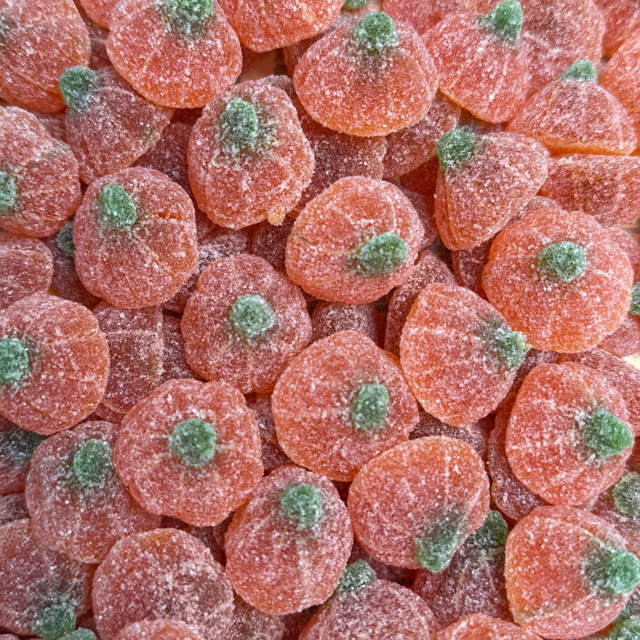 Pumpkin - Snack Shark