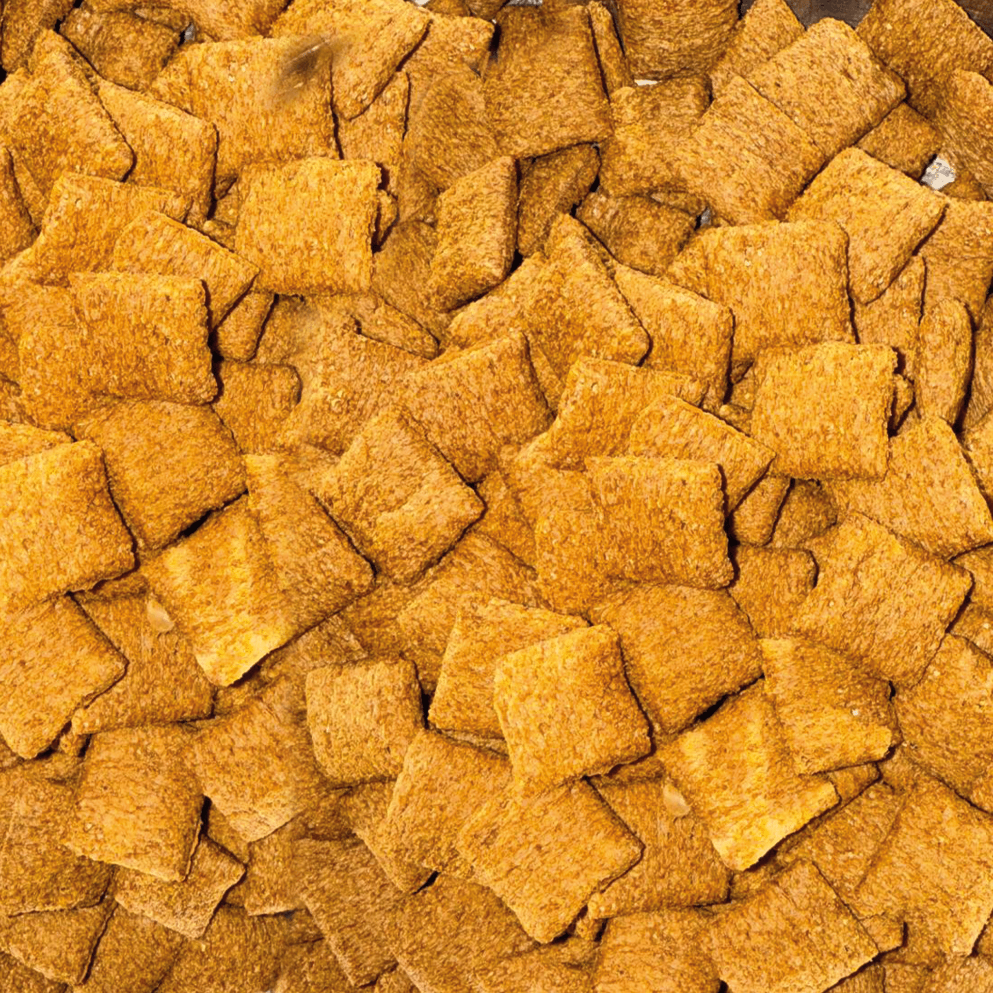 Salted Caramal Bites - Snack Shark