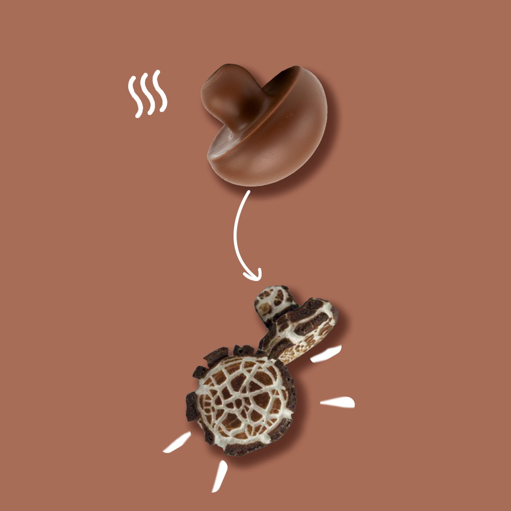 Gefriergetrocknete Schoko-Pilze