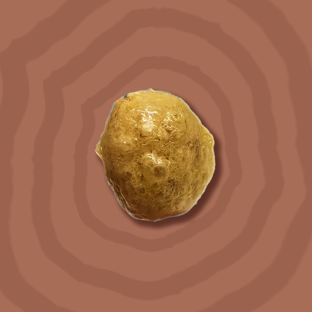 Gefriergetrocknete Sahne-Karamell Soft Bites mit Schokofüllung