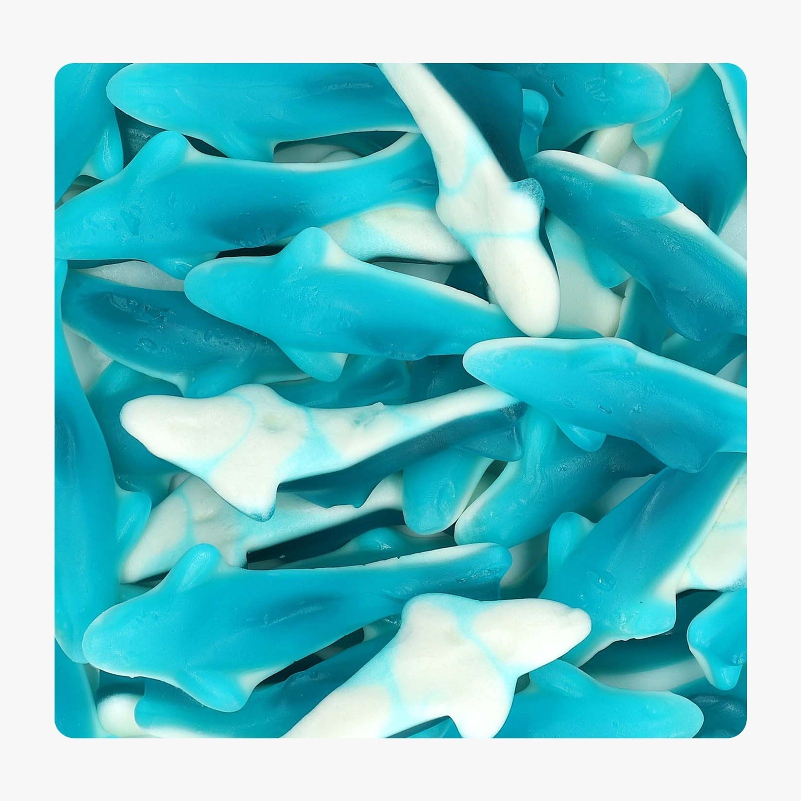 Trolli Haifische - Snack Shark