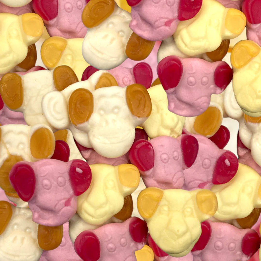 Zoo Mix - Snack Shark